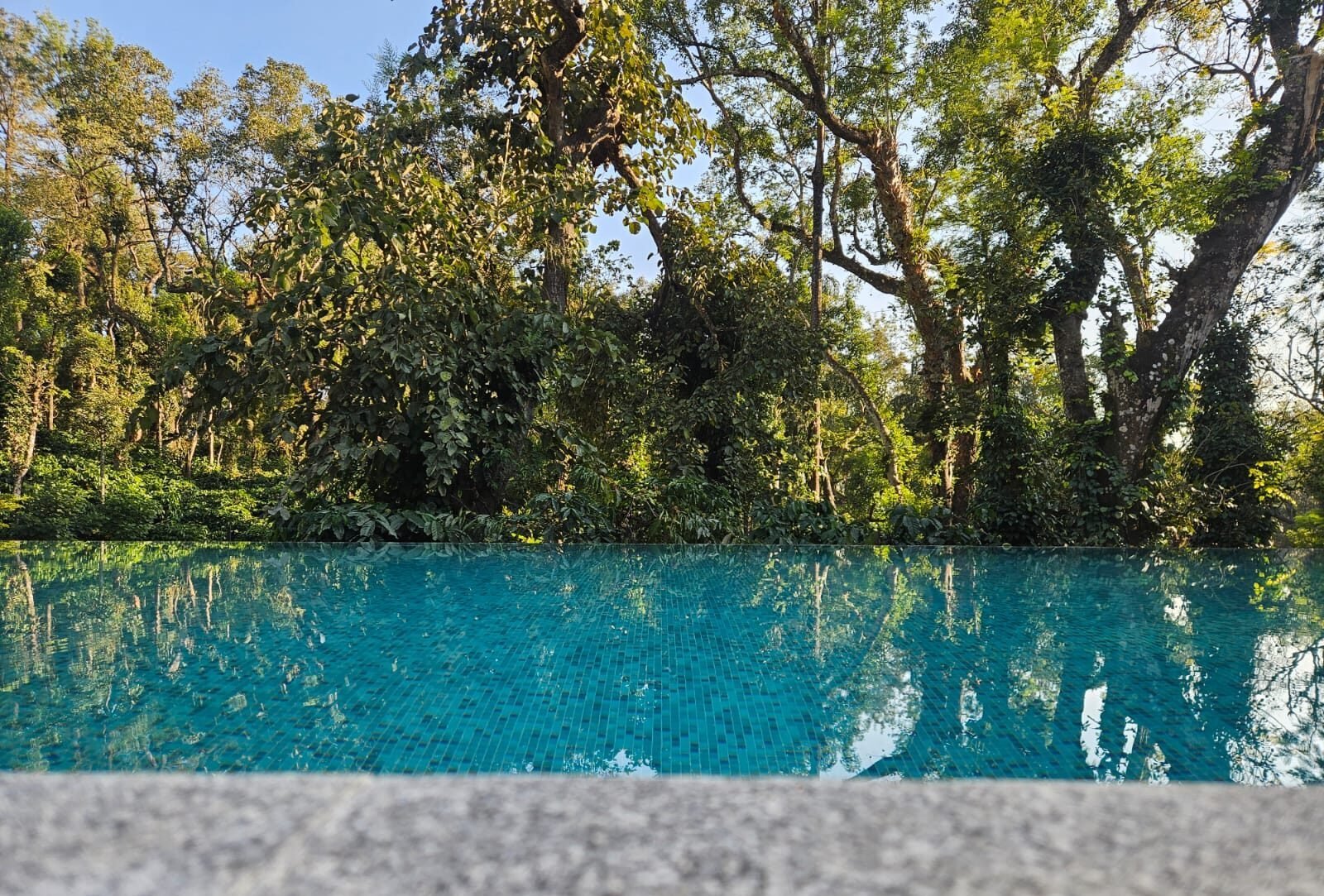 WhatsApp Image 2026-02-10 at 14.26.41